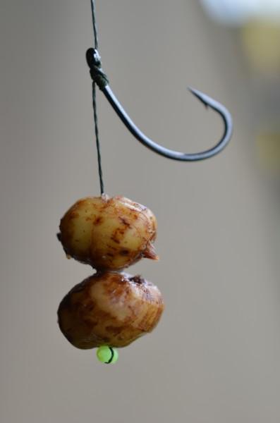 tehnici - dsc8113-397x600.jpg